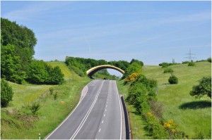 Puente verde para cruce de animales sobre carreteras