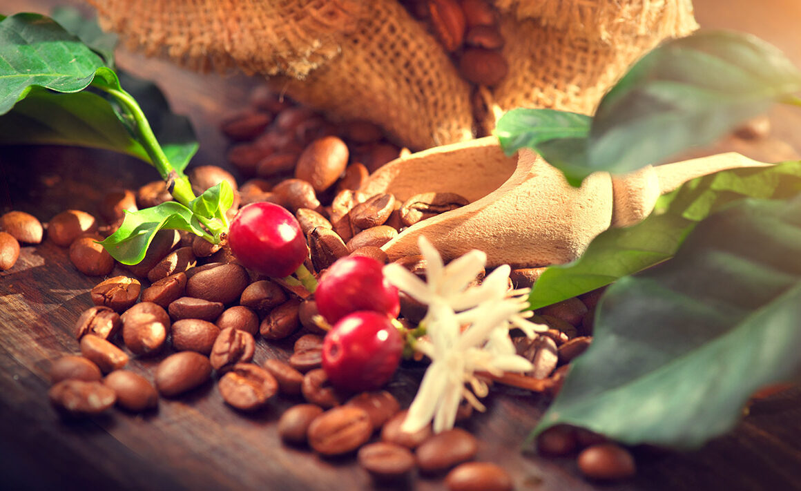 esencia sostenible cafe comercio justo