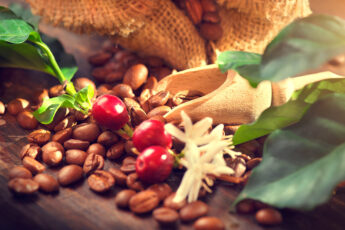 La esencia sostenible del café de Comercio Justo