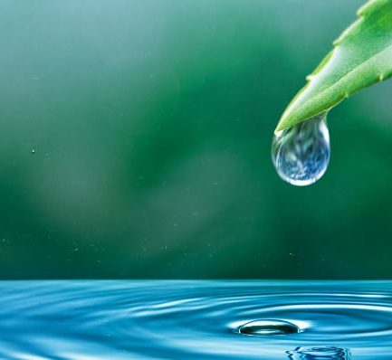 agua