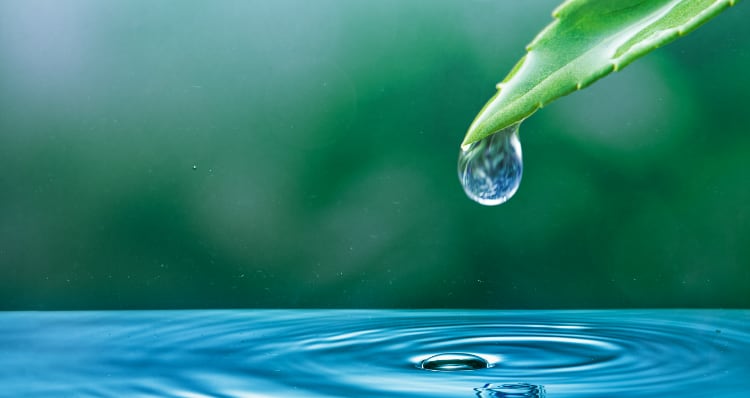 agua