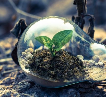 ecodiseno