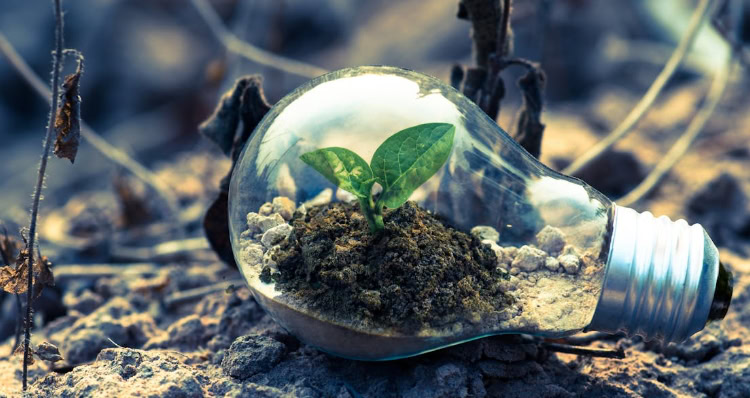ecodiseno