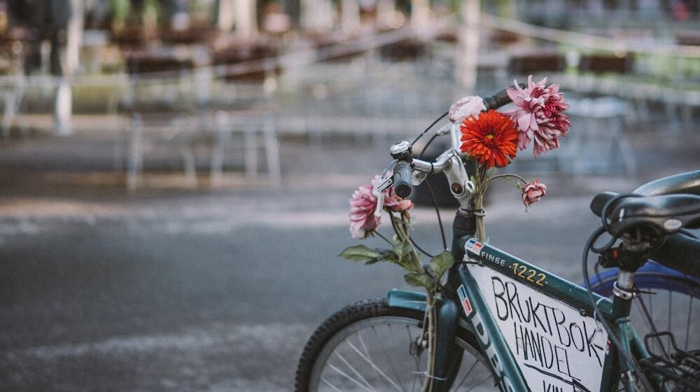 bicis