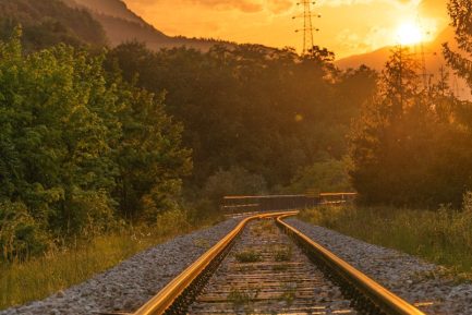trenes portada