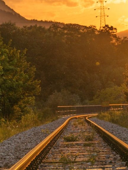 trenes portada