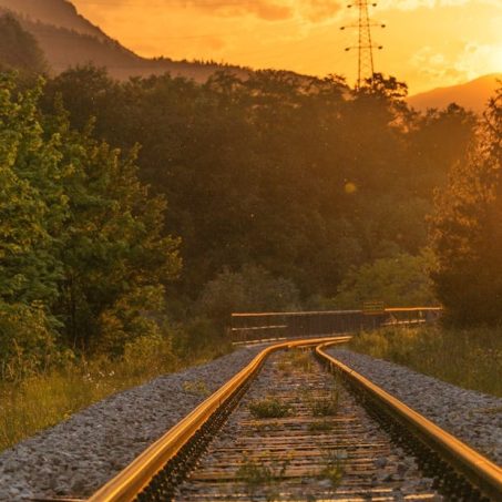 trenes portada