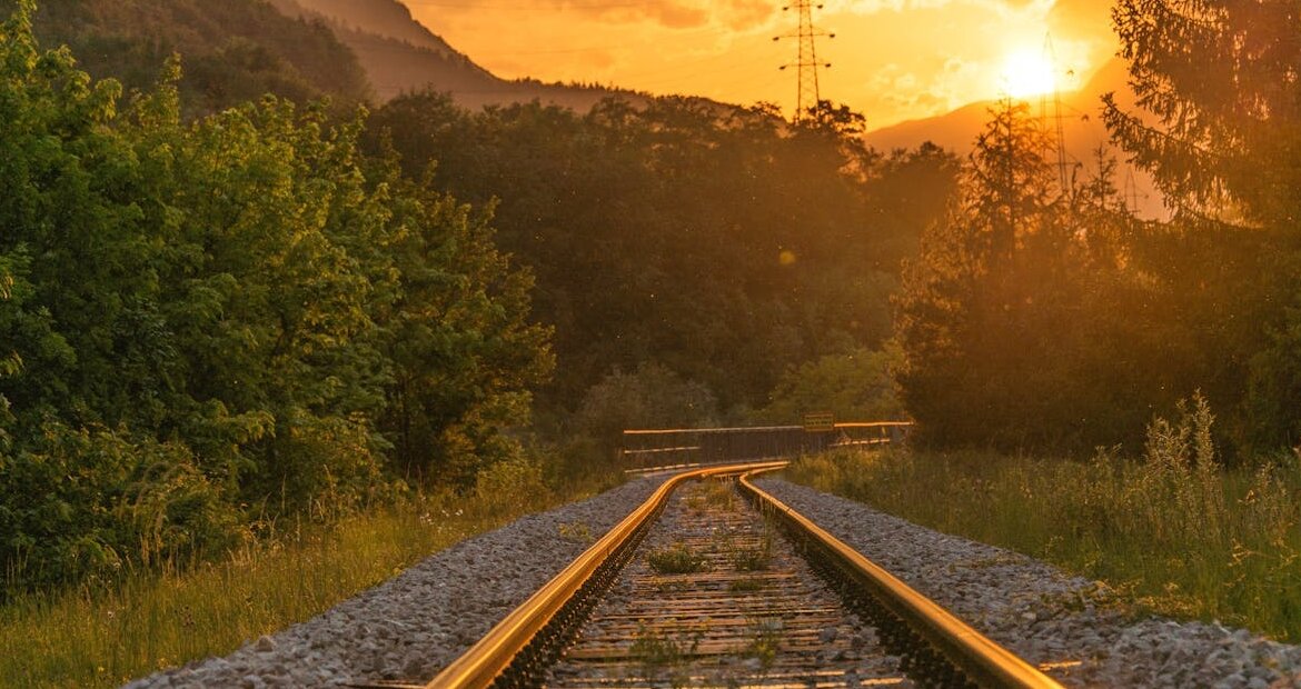 trenes portada