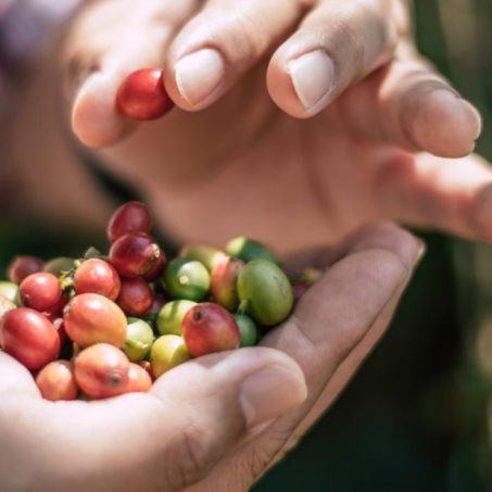 portada zoma cafetera